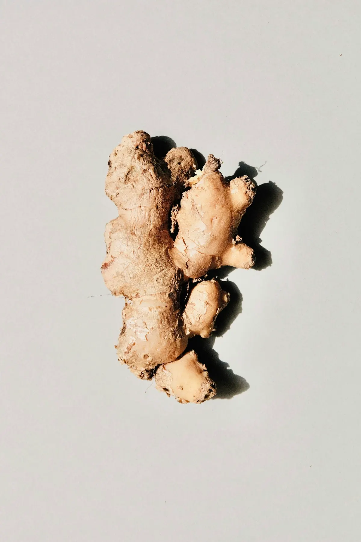 Ginger Root Extract